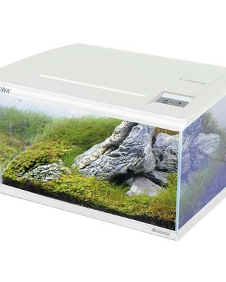 Acquario completo 50 litri