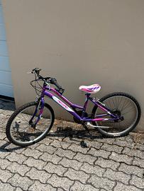 🚲 bicicletta da bambina 
