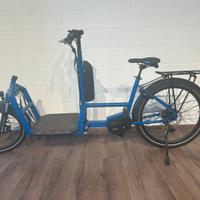 Bicicletta elettrica carco