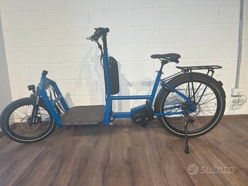 Bicicletta elettrica carco