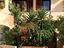 Immagine 15