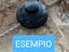 Immagine 6