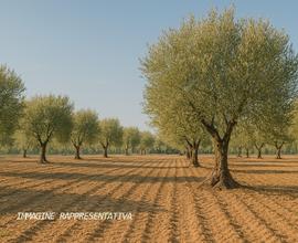 Agricolo a Rimini