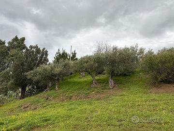 Terreno edificabile a Castelbuono