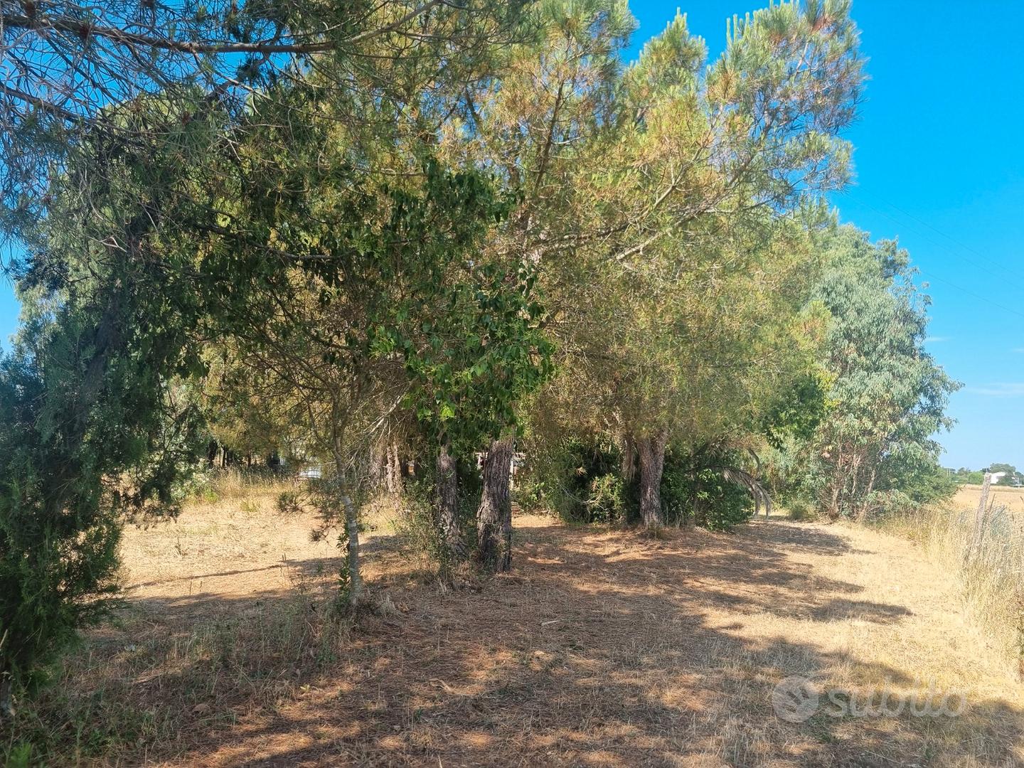 Terreno agricolo Loc Carbonifera - Vista 3