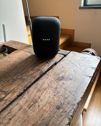 Assistente vocale google nest