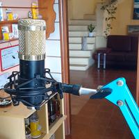 Microfono Neewer NW800 con Supporto