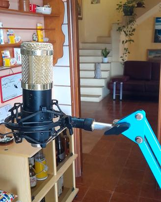 Microfono Neewer NW800 con Supporto