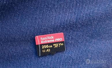 SanDisk Extreme PRO 256GB MicroSD