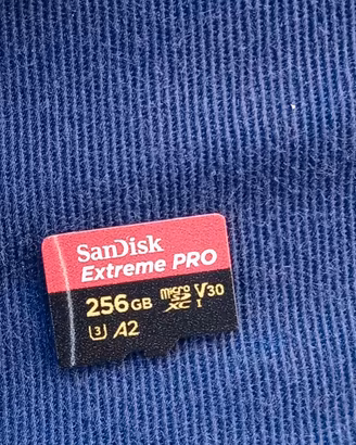 SanDisk Extreme PRO 256GB MicroSD