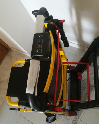 Sedia portantina elettrica per disabili