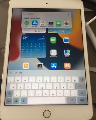 K4119NN-Apple iPad Mini 4: 35 (accountpcvintage) U