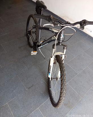 bicicletta 
