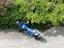 Immagine 1