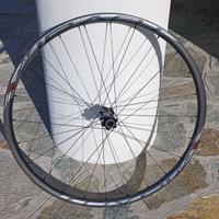 Cerchio ROVAL Control SL  29" RS1