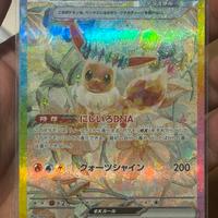 Lotto carte rare Pokémon
