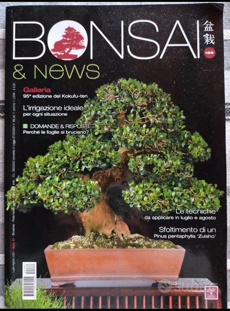 Riviste Bonsai & News - Libri e Riviste In vendita a Bergamo