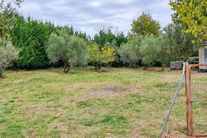 Terreno edificabile 1.000 mq tra gli ulivi