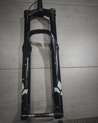 forcella FORMULA SELVA S 29 