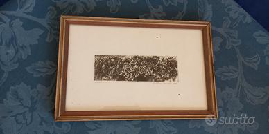Stampa- incisione acquaforte "Fiori" 23 x 35 cm