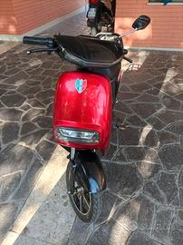 Bici elettrica