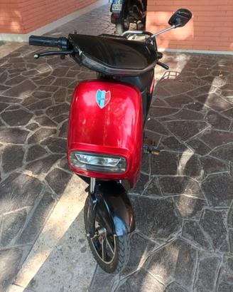 Bici elettrica
