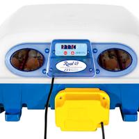 incubatrice borotto 49