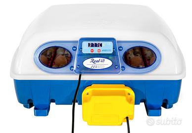 incubatrice borotto 49