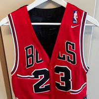 Gilet Nelson Bulls Jordan