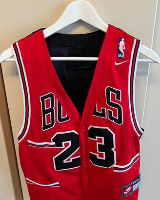 Gilet Nelson Bulls Jordan