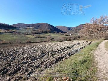 Terreno Agricolo Sassoferrato [A4336726]