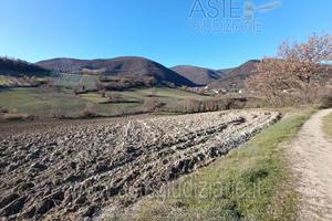 Terreno Agricolo Sassoferrato [A4336726]