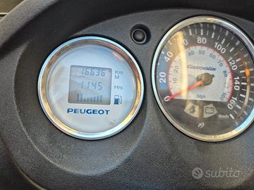 Peugeot Geopolis 300 - 2015