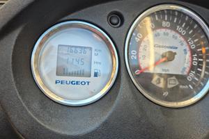 Peugeot Geopolis 300 - 2015