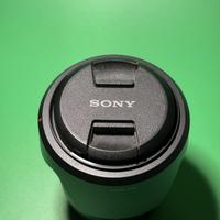 Obiettivo Sony 18-135
