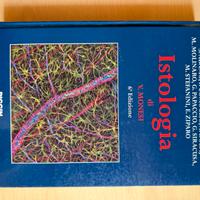 Istologia Valerio Monesi