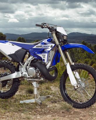 C.E.R.C.O. Yamaha WR YZX 250 LC