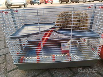 Gabbia criceto