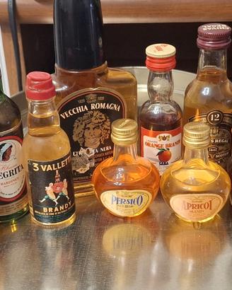 10 Liquori e Distillati Vintage Collezione 70/80