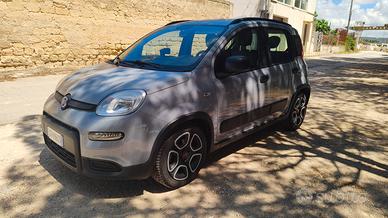 Panda Hybrid 1.0 firefly