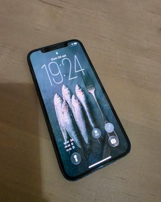 iPhone 12