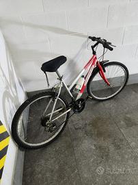 bicicletta montan bike 
