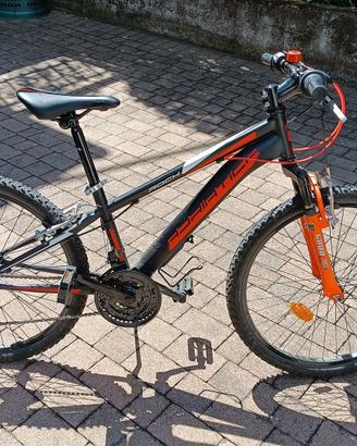MTB ragazzo Adriatica mod. Rock 24