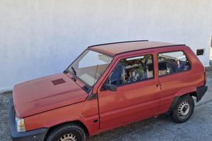 Fiat Panda young rossa 1100 benzina