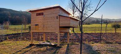 Pollaio per galline 