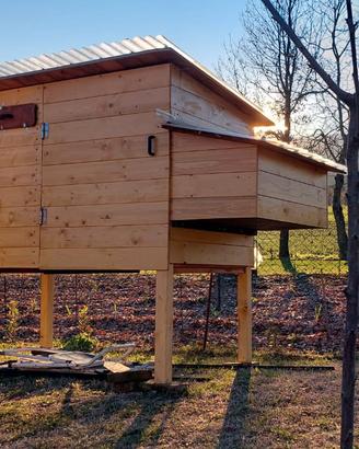 Pollaio per galline 