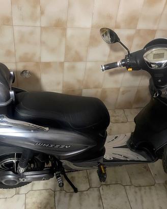 Bici/scooter elettrico