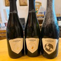 Lotto Aurore Casanova