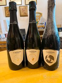 Lotto Aurore Casanova