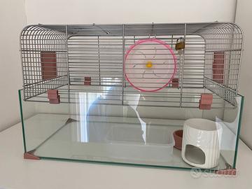 Gabbia criceto e trasportino